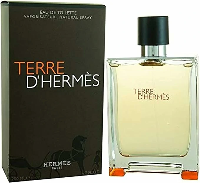 Hermes Terre D'Hermes Edt 100Ml (Mens)