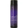 Tigi Catwalk Your Highness Elevating  250Ml Hair Conditioner (Unisex)