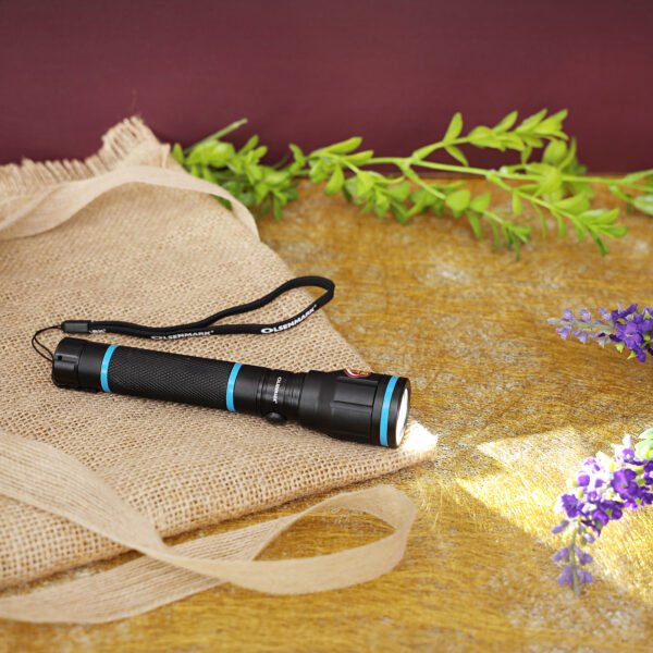 Olsenmark  Rechargeable LED Water Proof Flashlight, 152 MM - OMFL2657