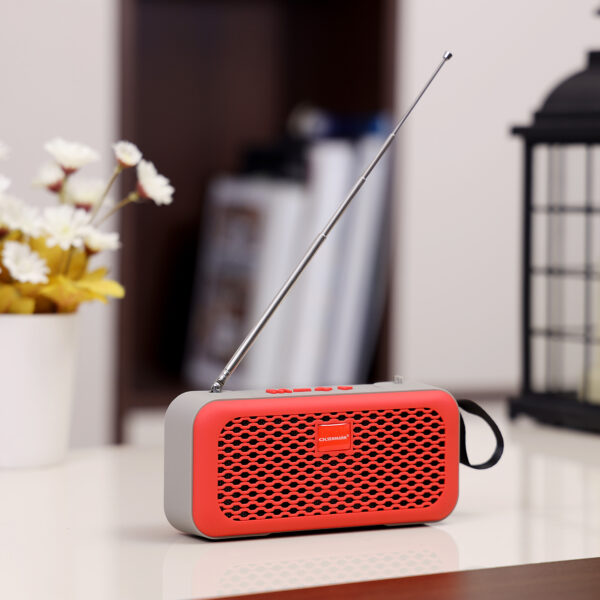 Olsenmark Portable Wireless Speaker - OMMS1212