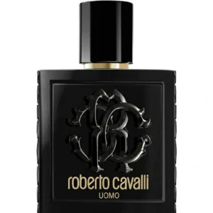 Roberto Cavalli Uomo Edt 100Ml (Mens)