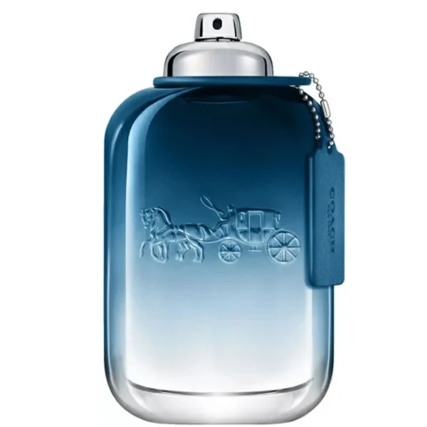 Coach Blue Edt 200Ml (Mens)