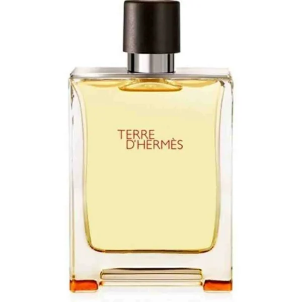 Hermes Terre D'Hermes Edt 50Ml (Mens)