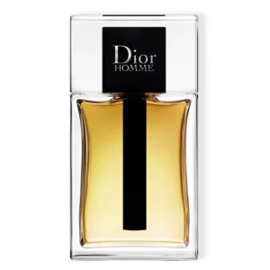 Christian Dior Dior Homme Edt 100Ml (Mens)