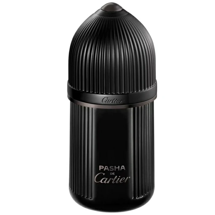 Cartier Pasha De Cartier Noir Absolu Parfum 100Ml (Mens)