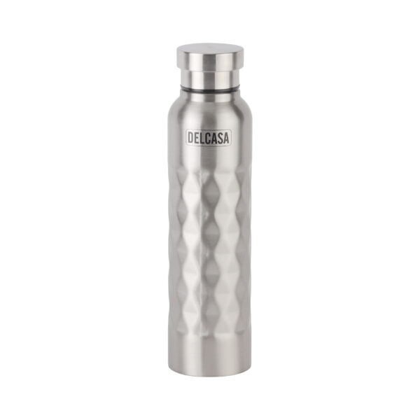 Delcasa DC1587 1000ML Stainless Steel Water Bottle