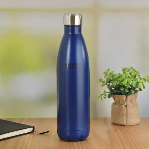 Delcasa DC1896 750Ml Stainless steel Water Bottle