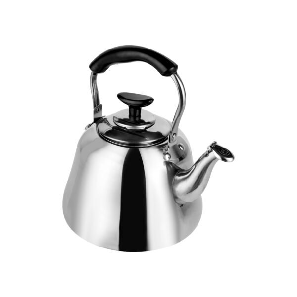 Stainless Steel Whistling Kettle, 1.5Ltr Capacity, DC2105
