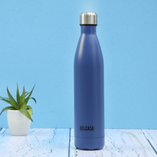 Stainless Steel Double Wall Vacuum Bottle, Portable, DC2268