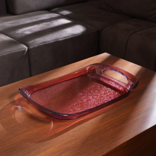 Delcasa Plum Acrylic Tray