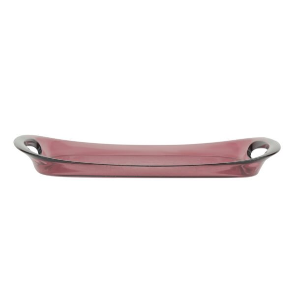 Delcasa Plum Acrylic Tray