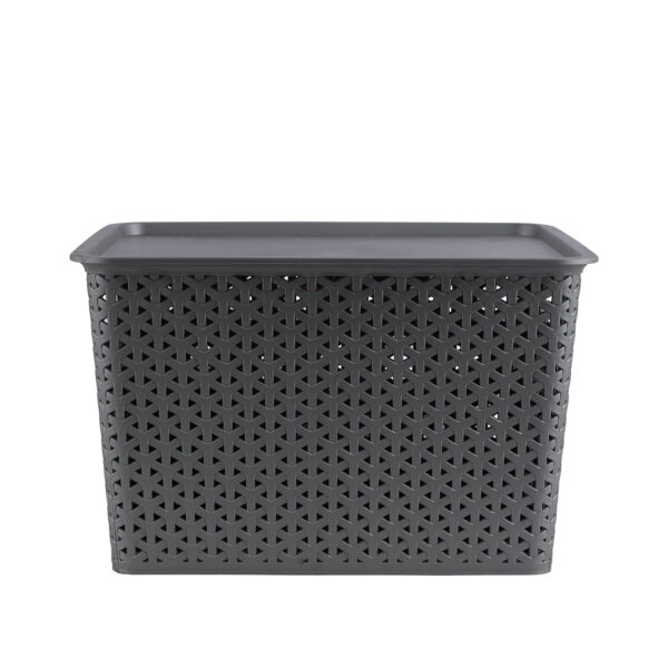 Delcasa Plastic Storage Basket with Lid- DC2848