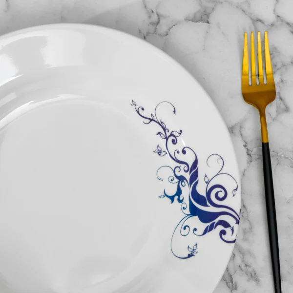 Delcasa 10.75" Soup Plate- DC2921