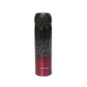 Delcasa 500 ML Stainless Steel Vacuum Water Bottle- DC3105