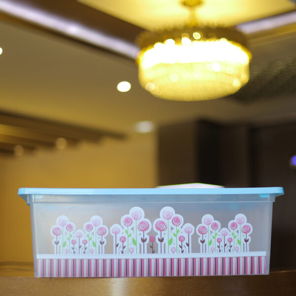 Royalford 25 L Space Saving Storage Box- RF11273