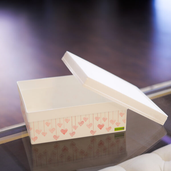 Royalford 6L Space Saving Storage Box- Rf11275