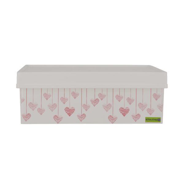 Royalford 6L Space Saving Storage Box- Rf11275