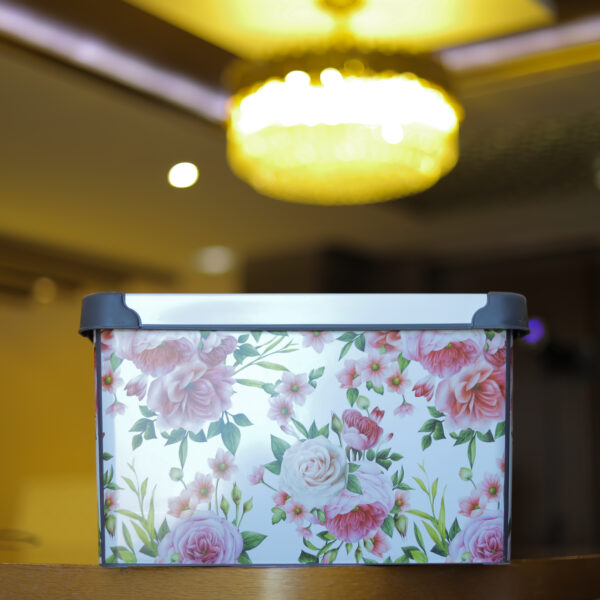 Royalford 22L Style Storage Box- RF11285