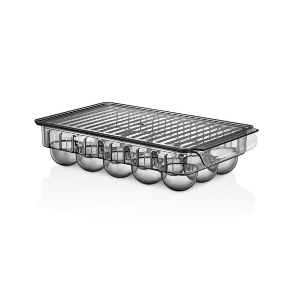 Royalford Egg Storage Container- RF11356